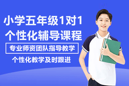 上海小学五年级1对1个性化辅导课程