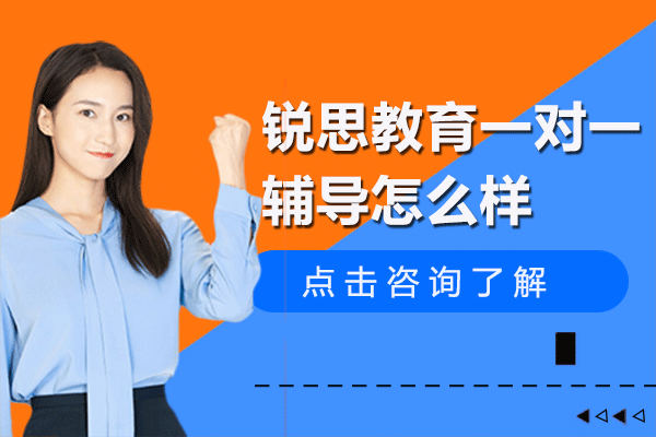 上海銳思教育個性化輔導深度解析