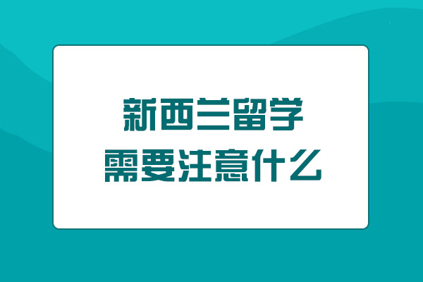 新西兰初中留学可选哪些学校-有哪些