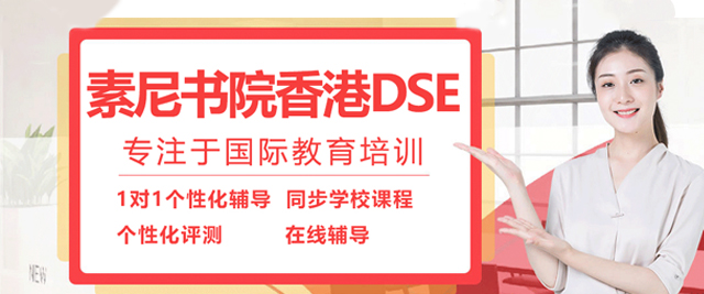 南通素尼书院香港DSE