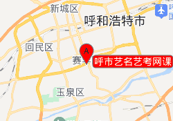 呼市艺名艺考网课
