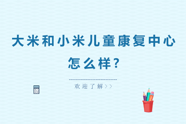 大米和小米康复中心教学体系深度解析