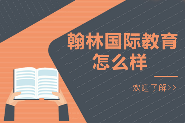 国际教育机构深度解析