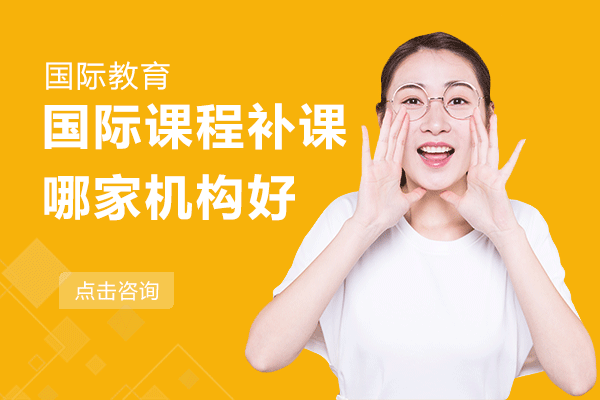 上海国际课程辅导机构深度解析