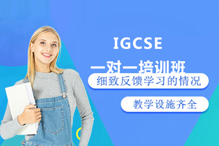 北京IGCSE经济一对一培训