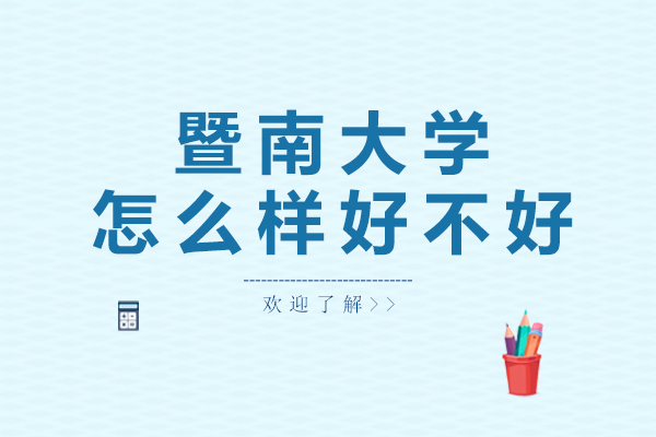 暨南大学深度解析报告