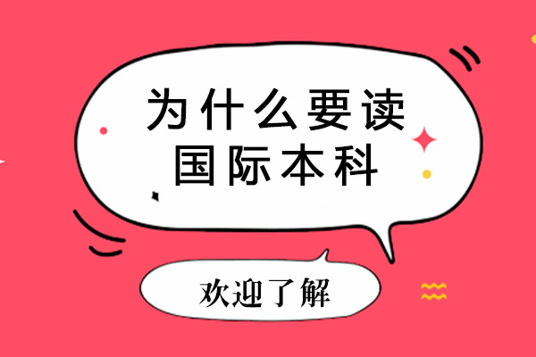 国际本科教育价值深度解读