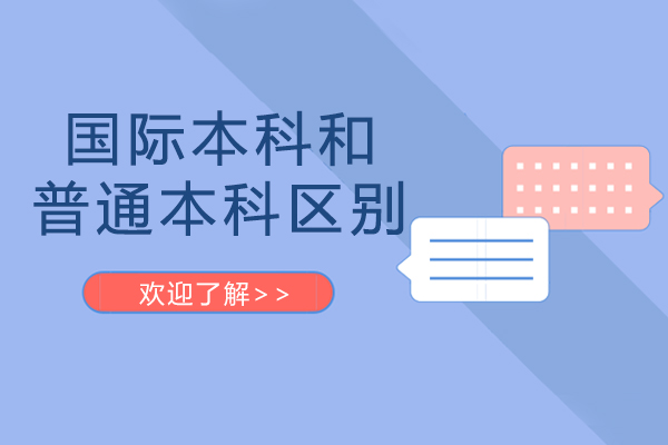 国际本科与普通本科全面对比解析