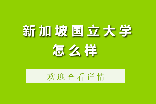 新加坡国立大学全方位解析
