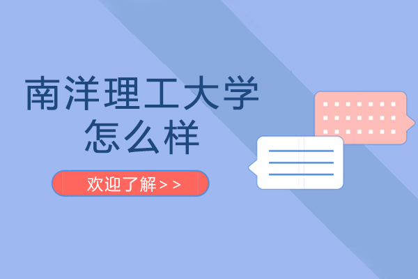 南洋理工大学国际本科项目深度剖析