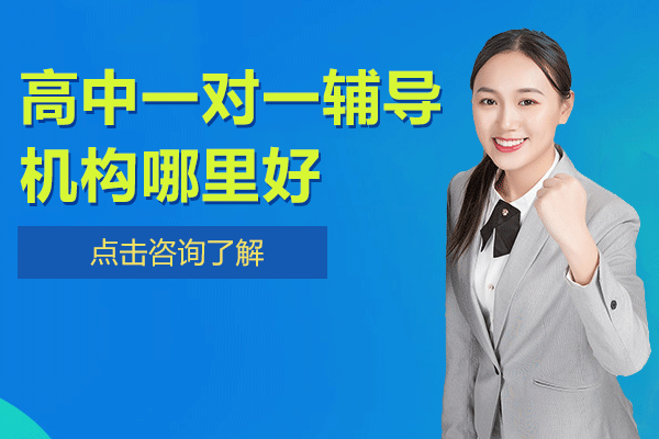 上海高中一对一辅导机构哪里好