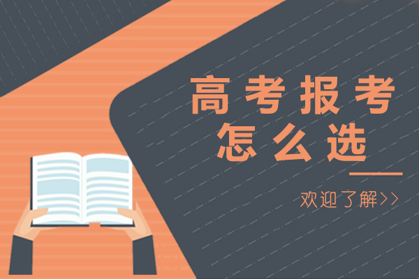 高考志愿填报策略深度解析