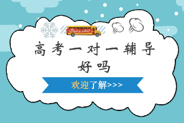 高考个性化辅导深度解析