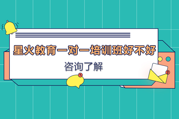 广州星火教育个性化辅导深度解析