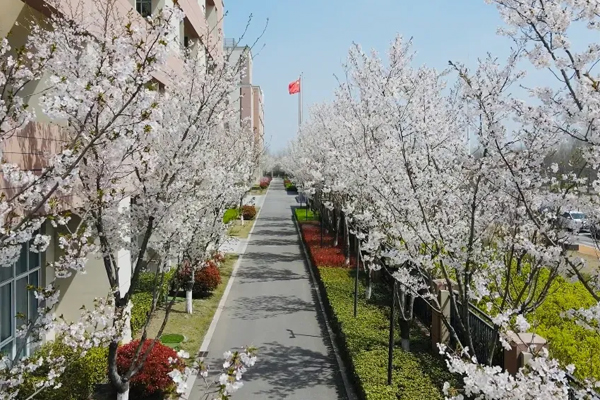 校区风景环境