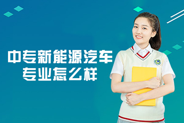 厦门鸿源新能源汽车检测与维修专业深度解析