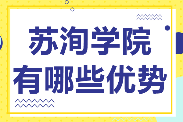 上海苏洵学院核心教学优势深度解析