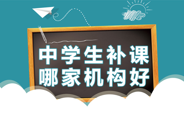 上海中学生学科辅导机构深度解析