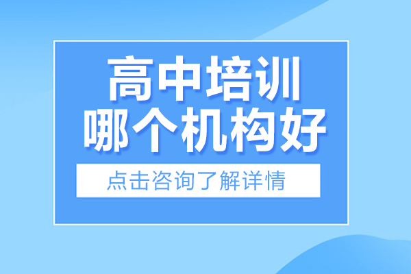 上海苏洵学院高中辅导深度解析