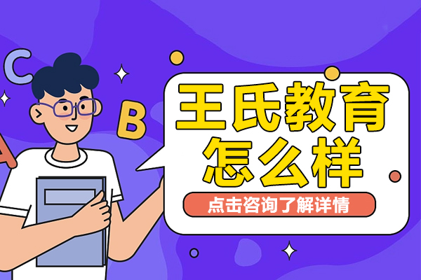 上海王氏教育课程体系深度解析
