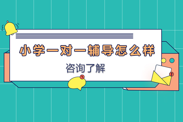 深圳个性化教学效果深度解析