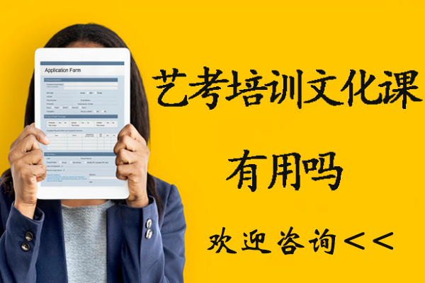 杭州艺考生文化课提升路径深度解析