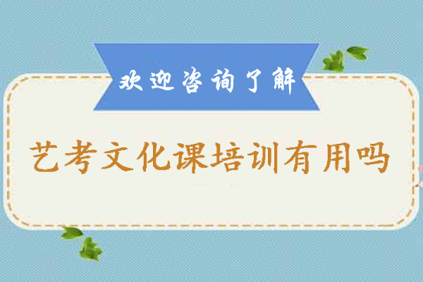 艺考生文化课培训效果深度解析