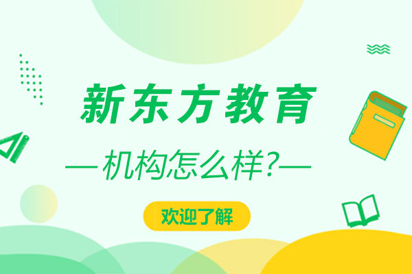 深圳新东方国际教育课程深度解析