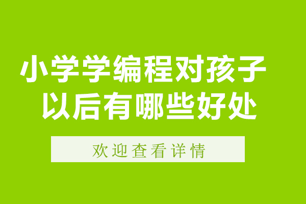 小学学编程对孩子以后有哪些好处-小学学编程设计有用吗