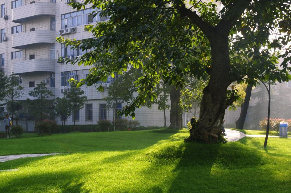 成都电子科技大学