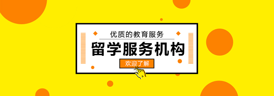留学顾问团队工作场景