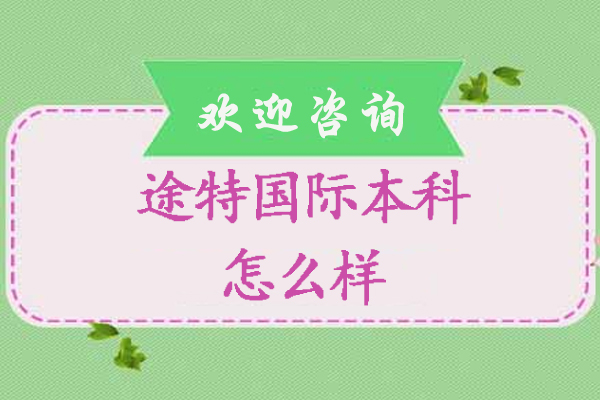 杭州途特国际本科课程深度解析
