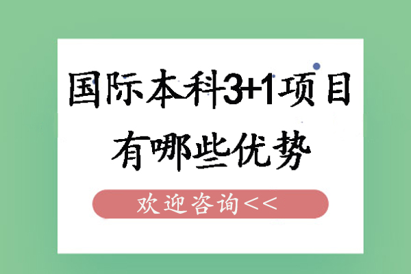 国际本科3+1项目核心优势深度解析