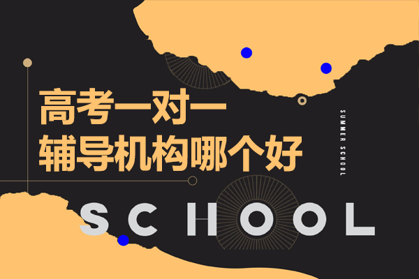 北京高考一对一辅导机构哪个好
