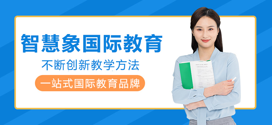 智慧象教学环境