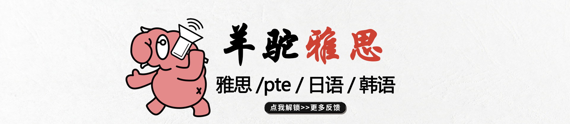 南京雅思培训网课