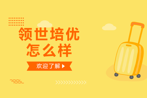 深圳领世培优教育深度解析