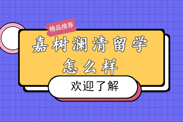 深度解析杭州嘉树澜清留学服务体系