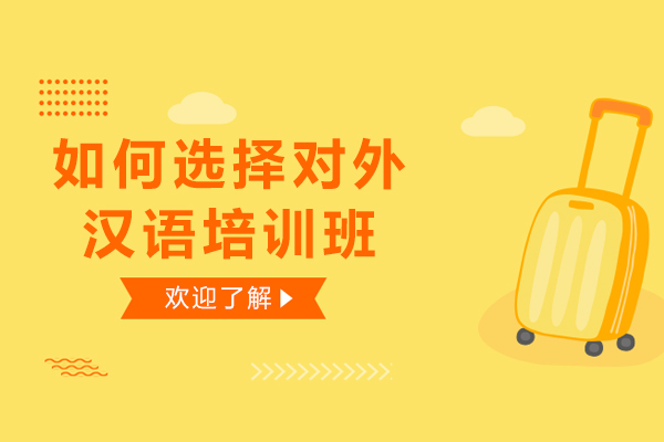 专业指南：挑选优质对外汉语培训机构的五大关键要素
