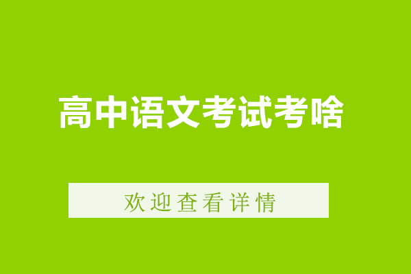 高中语文考试考啥-高中语文考试内容