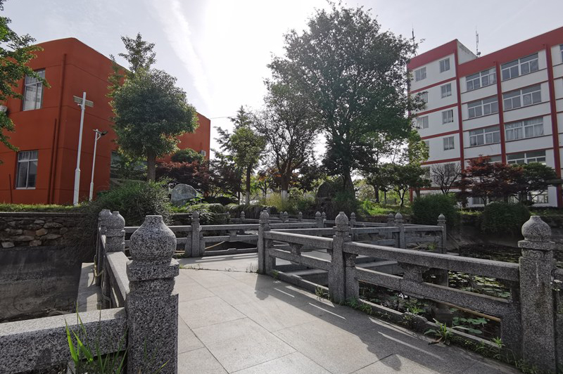 校区桥梁环境