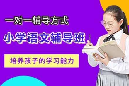 小学语文一对一辅导班