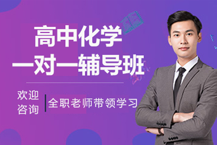 高中化学一对一辅导班