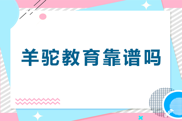 教育深度解析