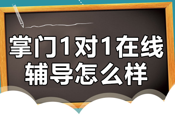 上海掌门1对1在线辅导怎么样