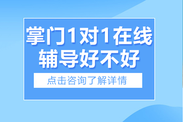 上海掌门1对1在线辅导好不好