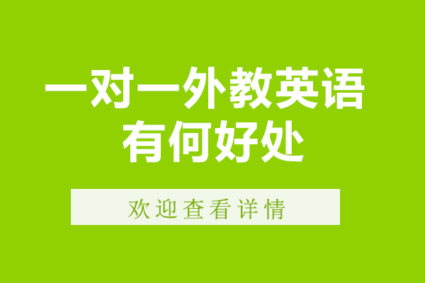外教一对一英语课程深度解析