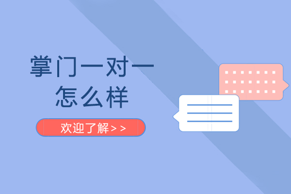 掌门一对一课程深度解析