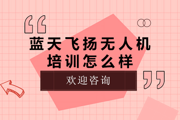 北京蓝天飞扬无人机培训深度解析