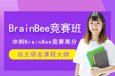 郑州BrainBee竞赛培训班